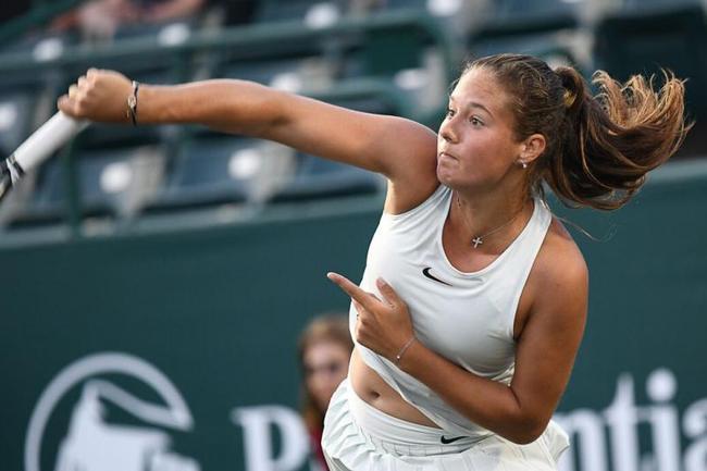 年篮球正在 年篮球正在