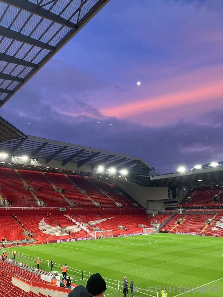 成为新常态 成为新常态